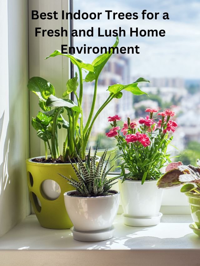 Read more about the article Best Indoor Trees for a Fresh and Lush Home Environment