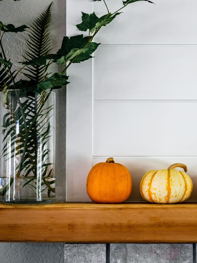 Read more about the article Year-Round Refresh: Seasonal Decor Ideas to Transform Your Home